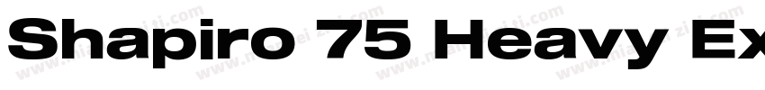Shapiro 75 Heavy Extd字体转换